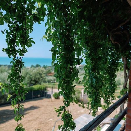 Villa Aiolos Alexandroupoli Esterno foto