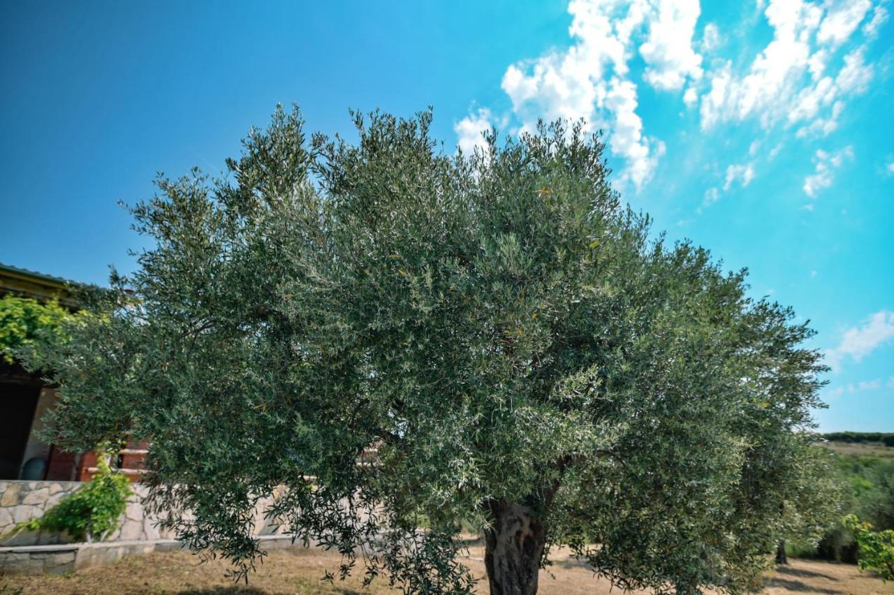 Villa Aiolos Alexandroupoli Esterno foto